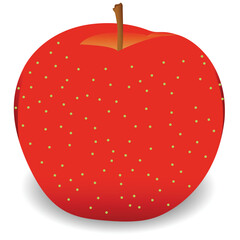 Apple fruit realistic vector illustration