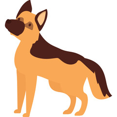 German Shepherd Dog Standing Alert with Tan and Brown Fur Transparent Background Studio Portrait