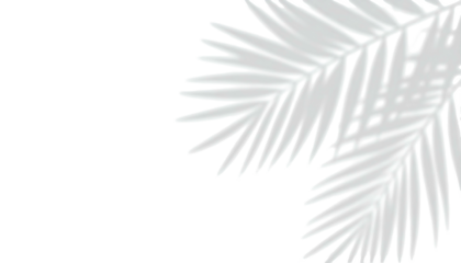 White palm fronds on a black backdrop, stylized with a graphic, outlined appearance