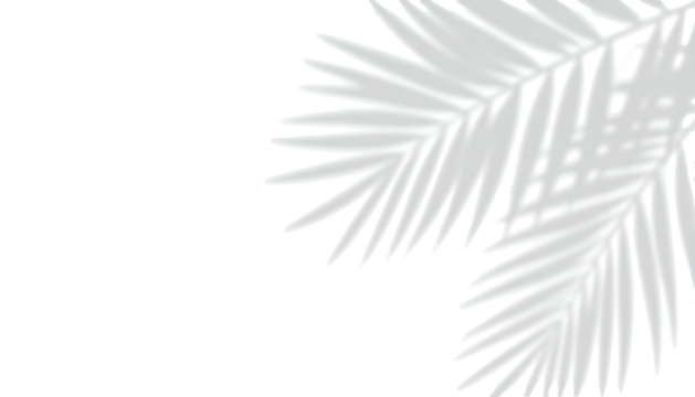 White palm fronds on a black backdrop, stylized with a graphic, outlined appearance