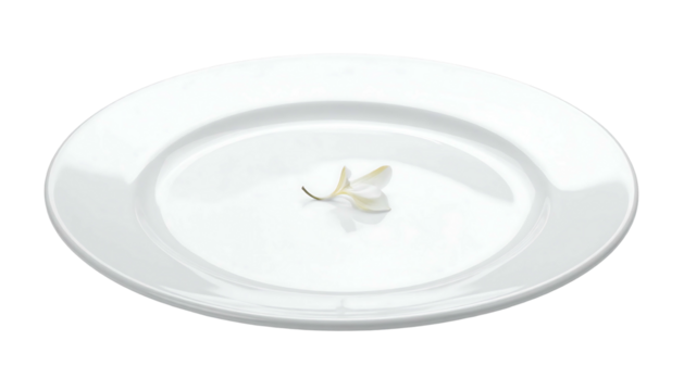 White plate centers a delicate white blossom, creating serene minimalism against the dark backdrop