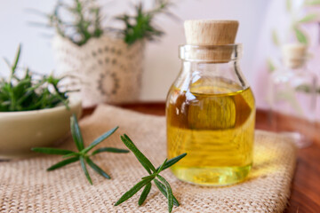 Essential oil in bottle and fresh rosemary twigs
