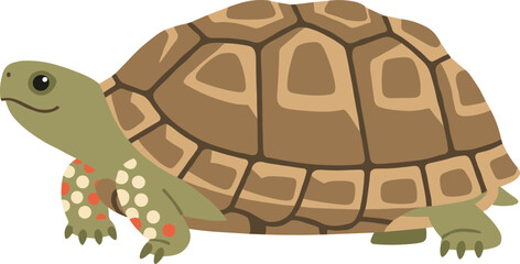 Simple Flat Design Turtle with Shell and Spotted Legs Illustration
