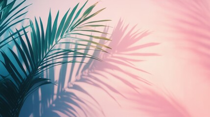 gentle tropical palm leaf silhouettes moving across pastel wall with cool tone soft brightness evoking spring and summer minimal setting for visual storytelling