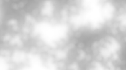 Overlay blurred tree light and shadow effect on transparent background. high quality 3d render png format.	