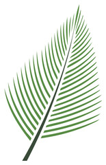 Fototapeta premium Green Palm Leaf Vector Design Simple Tropical Plant Illustration Isolated