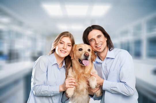 Veterinarian checks cute dog pet during appointment.