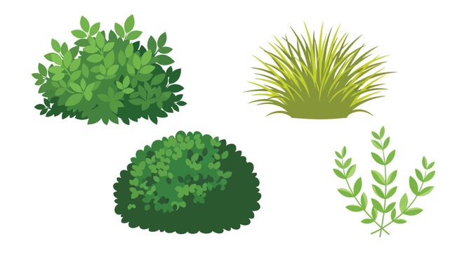 Four different green bushes and leafy plants illustration garden design elements