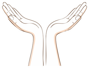 Outstretched hands cupped upwards, offering support and care, white background.