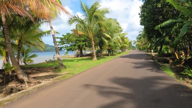 Driving on Coastal Road in Tropical Paradise of French Polynesia. Beach in Lagoon and Palm Trees Point of View