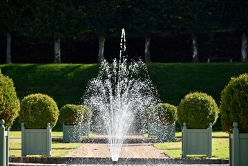 Jardins du Château de Villandry (Indre-et-Loire)