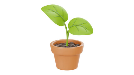 Green sprout growing in terracotta pot plant seedling