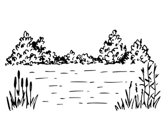 Summer landscape, wild lake, reeds, bushes, calm water. Hunting and fishing, nature. Hand drawn vector illustration with black outline.