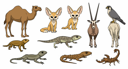 Desert animals collection with transparent background