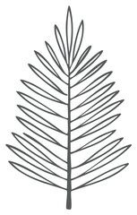 Fototapeta premium Elegant Outlined Evergreen Branch Illustration with Simple Line Art Design