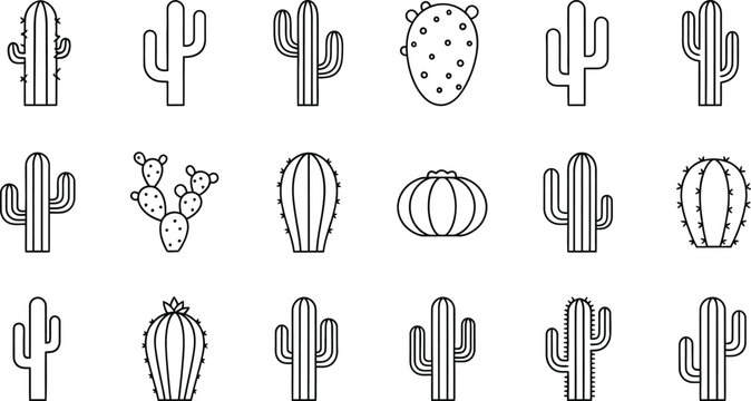 Cactus Outline Images  Browse 81,266 Stock Photos, Vectors, and Video |  Adobe Stock