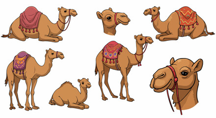 Camel poses collection for design elements