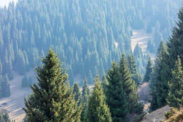 view from the top of the mountain