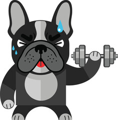 Bulldog weightlifting illustration, cartoon muscular dog with dumbbell, funny pet artwork, whimsical strength design, fitness vector character background