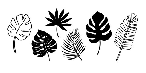 Vector illustration of various tropical leaves including monstera and palm in black and white color scheme