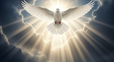Holy Spirit Dove Descending from Heaven – Divine Peace Symbolism in Christianity