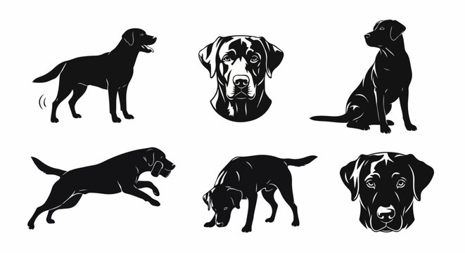 A collection of black Labrador Retriever dog illustrations showing various poses and headshots on a white background.