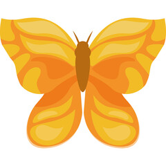 Orange And Yellow Butterfly Icon With Intricate Wing Patterns Isolated On Transparent Background And Soft Lighting