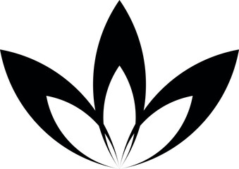 black and white leaves