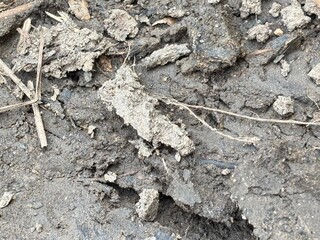 Close Up of Dry Soil and Dirt Mud Texture
