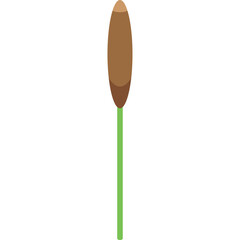 A simple illustration of a cattail plant with a brown head and green stem on a transparent background