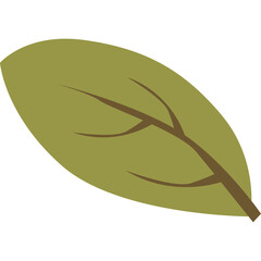 A Simple Green Leaf With Brown Veins Isolated On A White Background With A Transparent Overlay Ready For Design