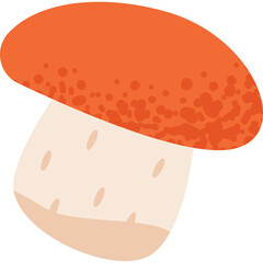 Orange Cap Mushroom with a Light Stem on a Transparent Background