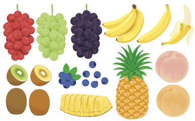 果物イラスト（ぶどう、もも、パイナップルなど）