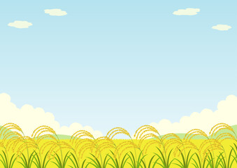 rice_inaho_back_yoko_1_2510