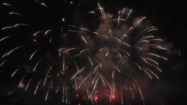 Colorful fireworks exploding in the night sky. Slow motion
