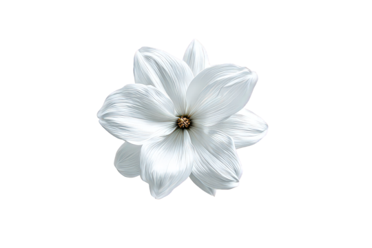 Abstract White Flower with Yellow Center and Textured Petals on Black Background