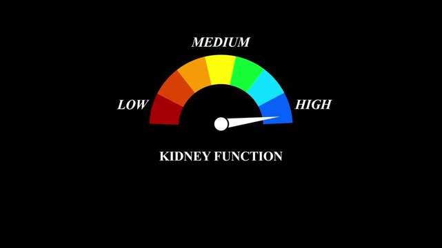 Animated kidney function meter decreasing from normal to low level, ideal for concepts related to poor kidney function, chronic kidney disease and dialysis.4k video