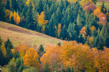 autumn in the mountains