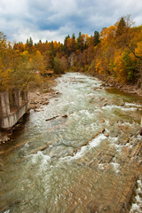 river in autumn forest