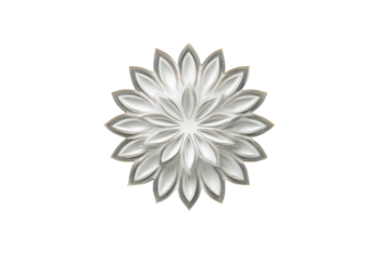 Abstract Floral Design with White Petals and Intricate Details on Black Background