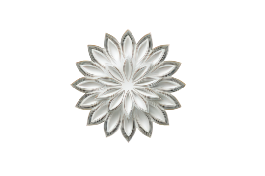 Abstract Floral Design with White Petals and Intricate Details on Black Background