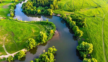 Fototapeta premium Ecology and environment concept. Green nature from above. Aerial view on river landscape. Healthy nature