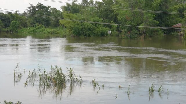Severe water flowing in the river during water flood or inundation situation, Nature and environment footage.