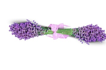 Plant and flower green leaves