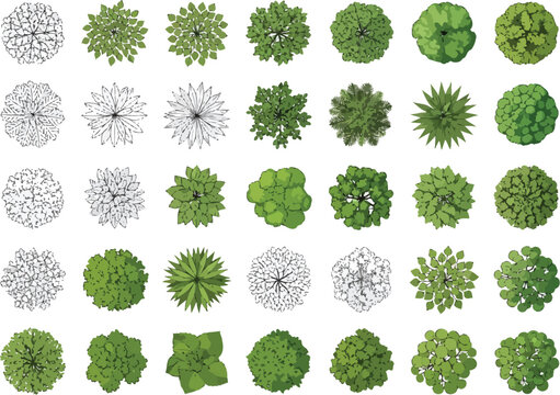 Collection of top down view green trees and black and white tree silhouettes for architectural design and landscaping projects