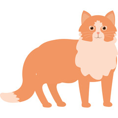 Orange Fluffy Cat Standing Transparent Background Studio Portrait Cute Domestic Animal