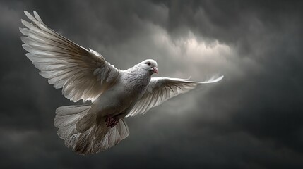 Majestic White Dove Soaring Through Dramatic Stormy Sky