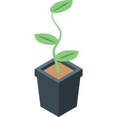 A Small Green Potted Plant with Three Leaves Growing Upwards from a Square Dark Gray Pot Filled with Light Brown Soil Against a Transparent Background in a Soft Light