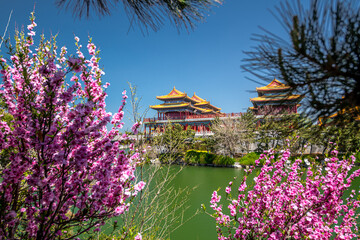 Fototapete bei efototapeten.de bestellen   