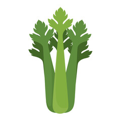 Fresh celery vector logo icon flat design